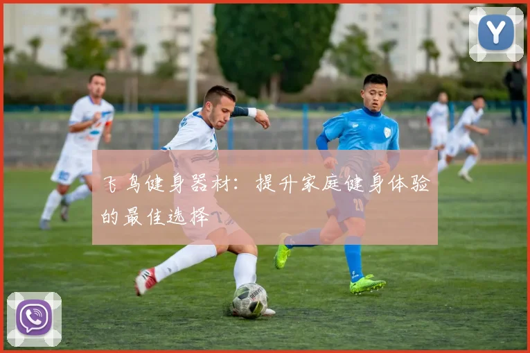 飞鸟健身器材：提升家庭健身体验的最佳选择