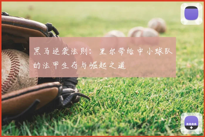 黑马逆袭法则：里尔带给中小球队的法甲生存与崛起之道