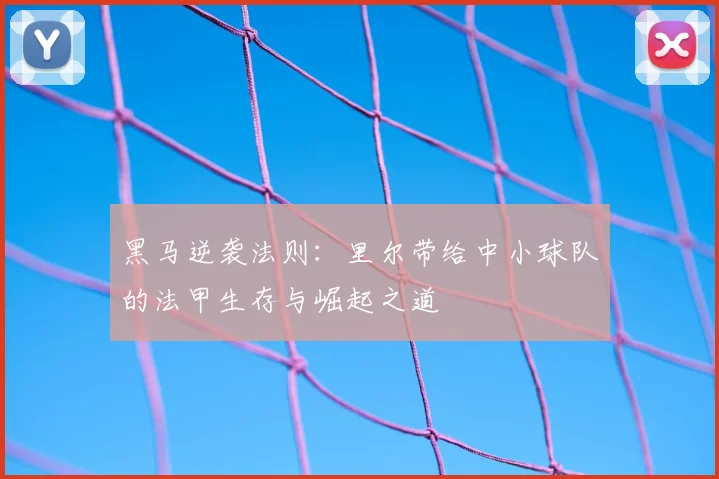 黑马逆袭法则：里尔带给中小球队的法甲生存与崛起之道