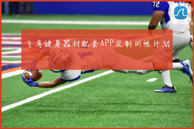 飞鸟健身器材配套APP定制训练计划